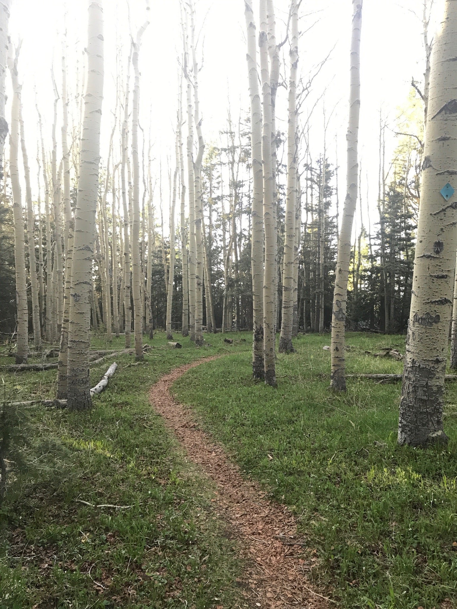 Finding peace and comfort within yourself