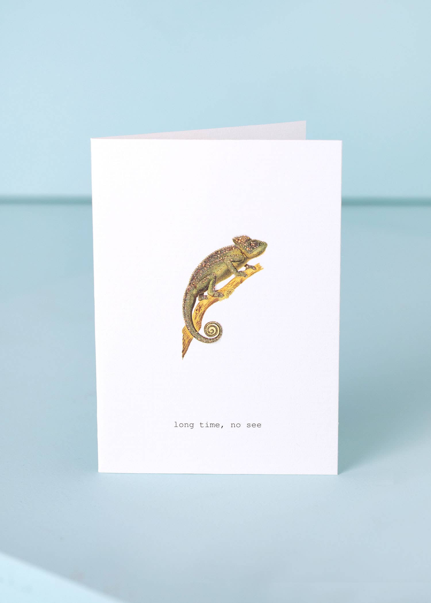 LONG TIME NO SEE GREETING CARD