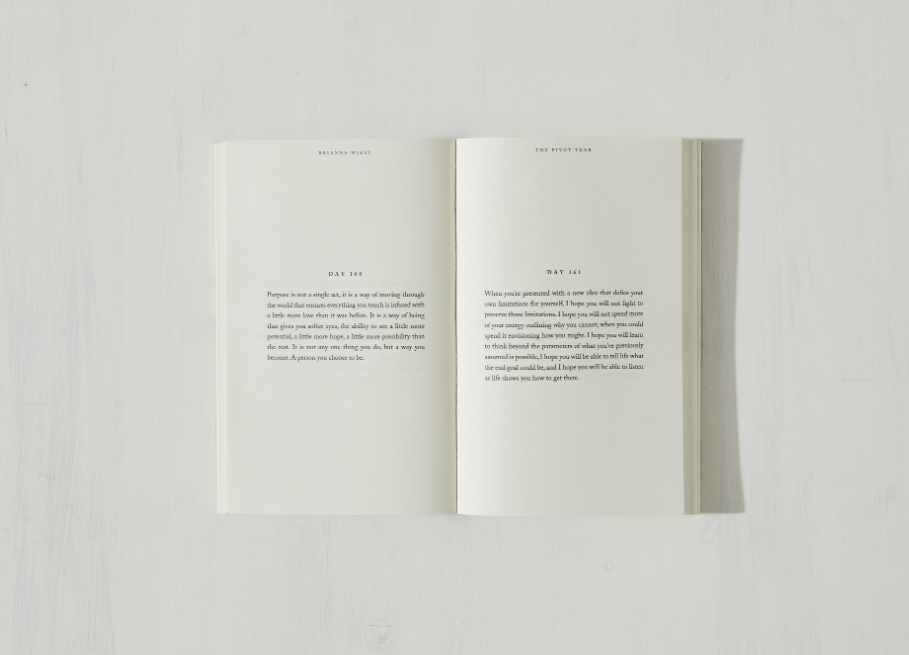 The Pivot Year - book: Paperback