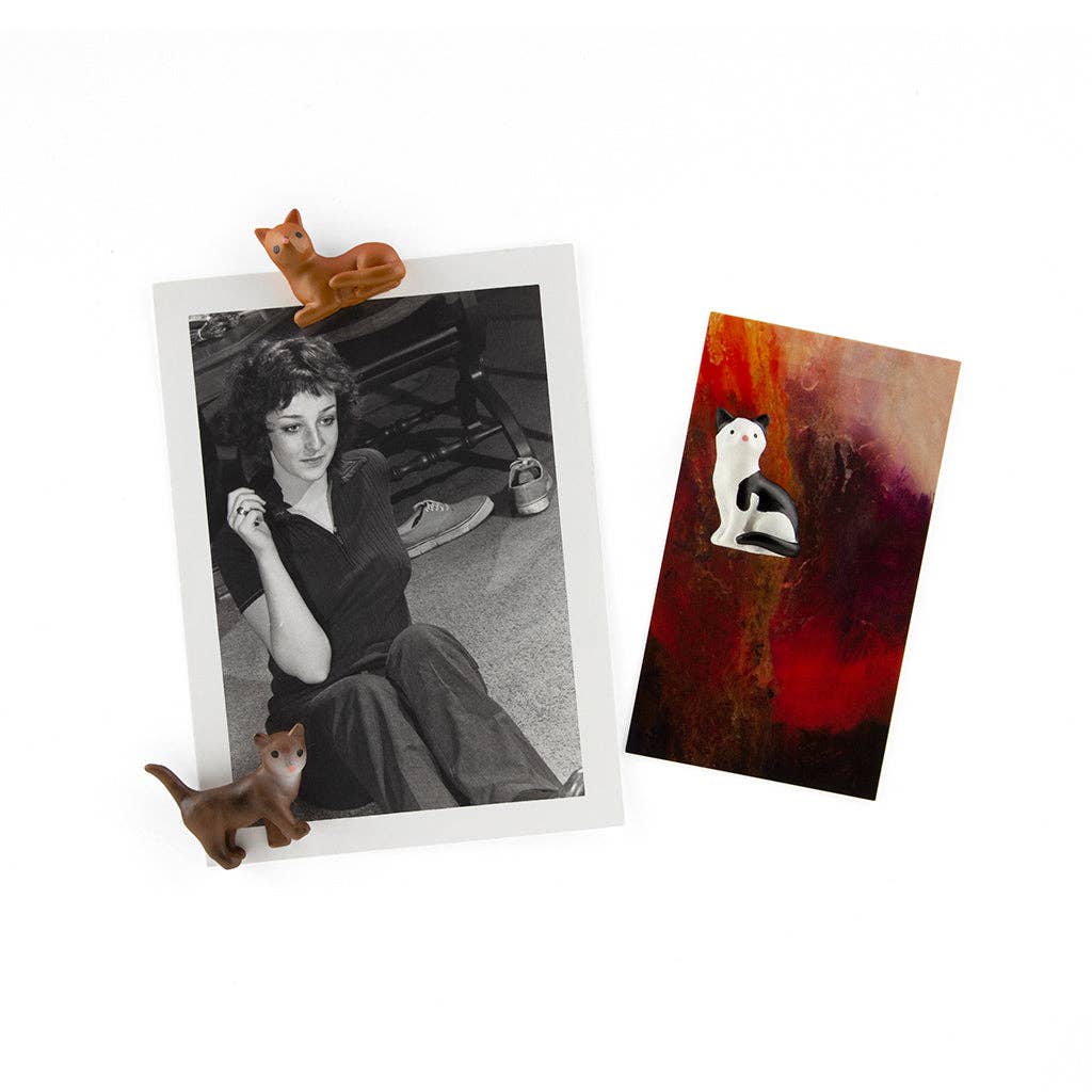 Colorful cat magnets