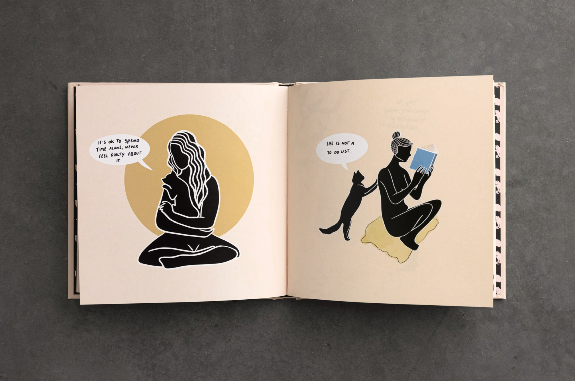 Conversations With My Cat - illustrated book