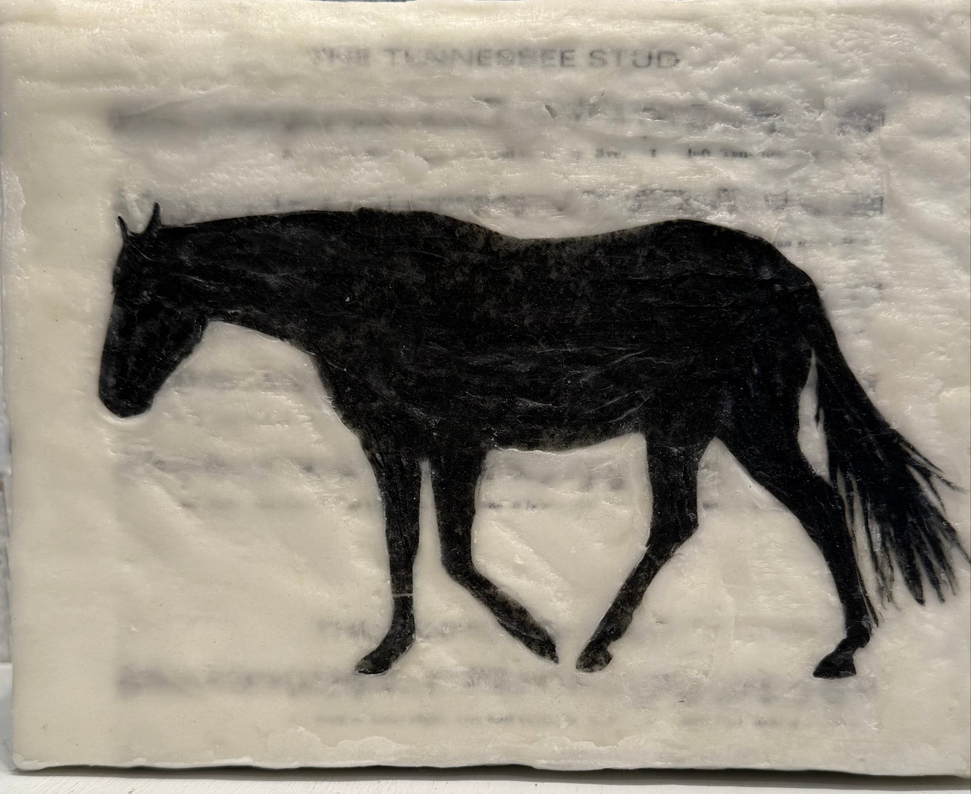 Horse in Stride