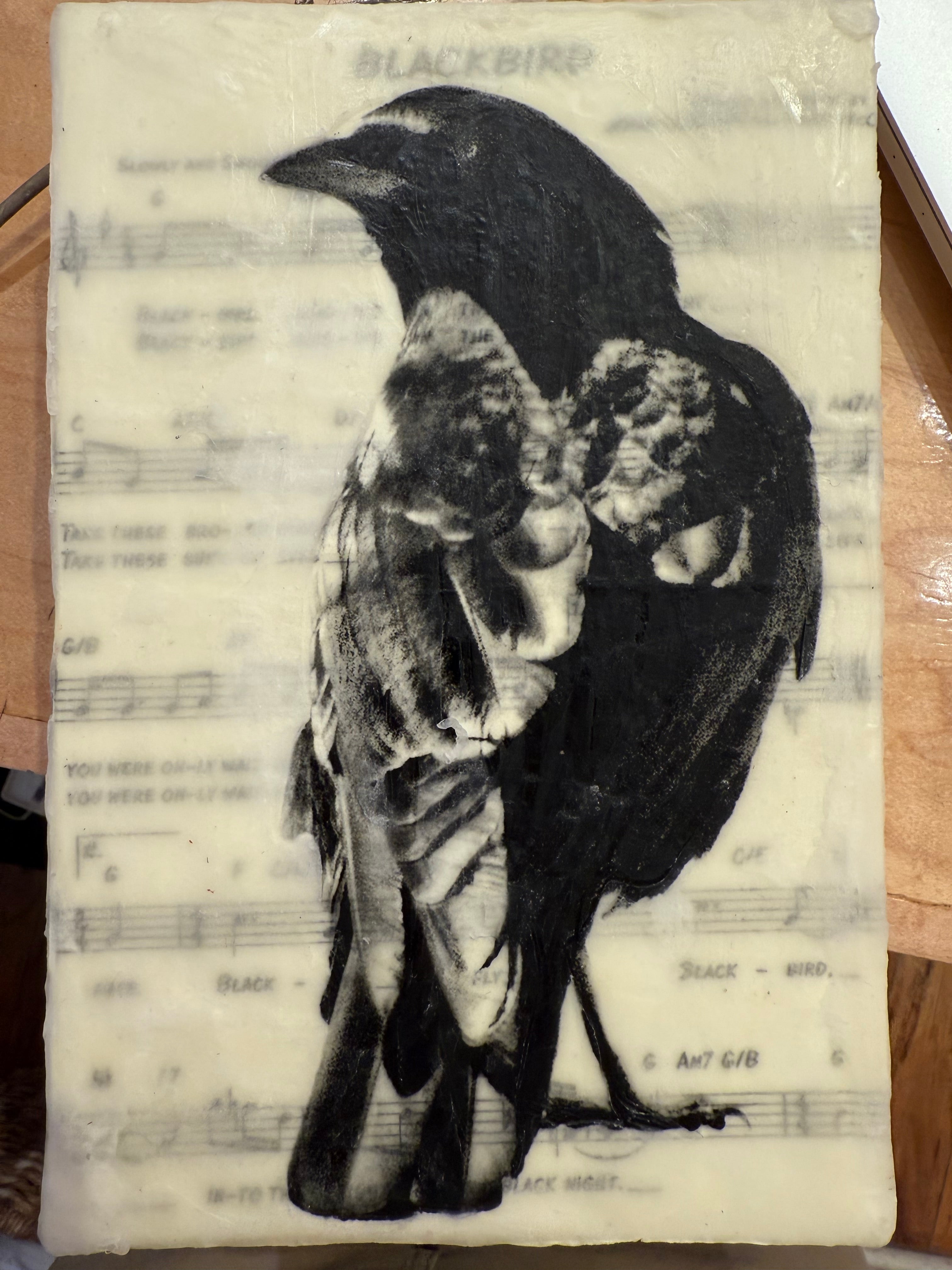 Medium Blackbird on Sheet Music