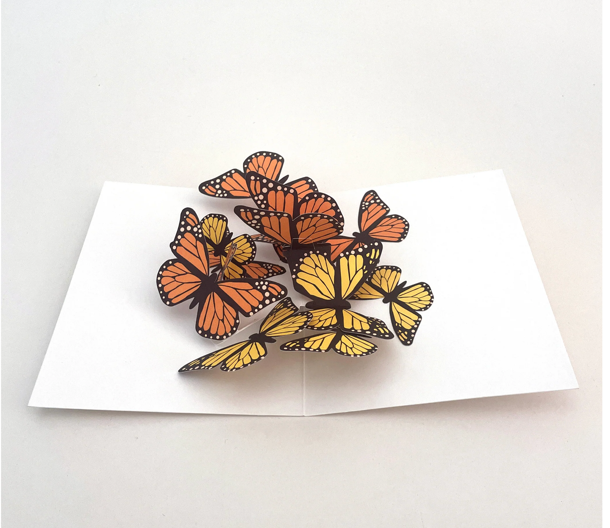 Beautiful Butterflies