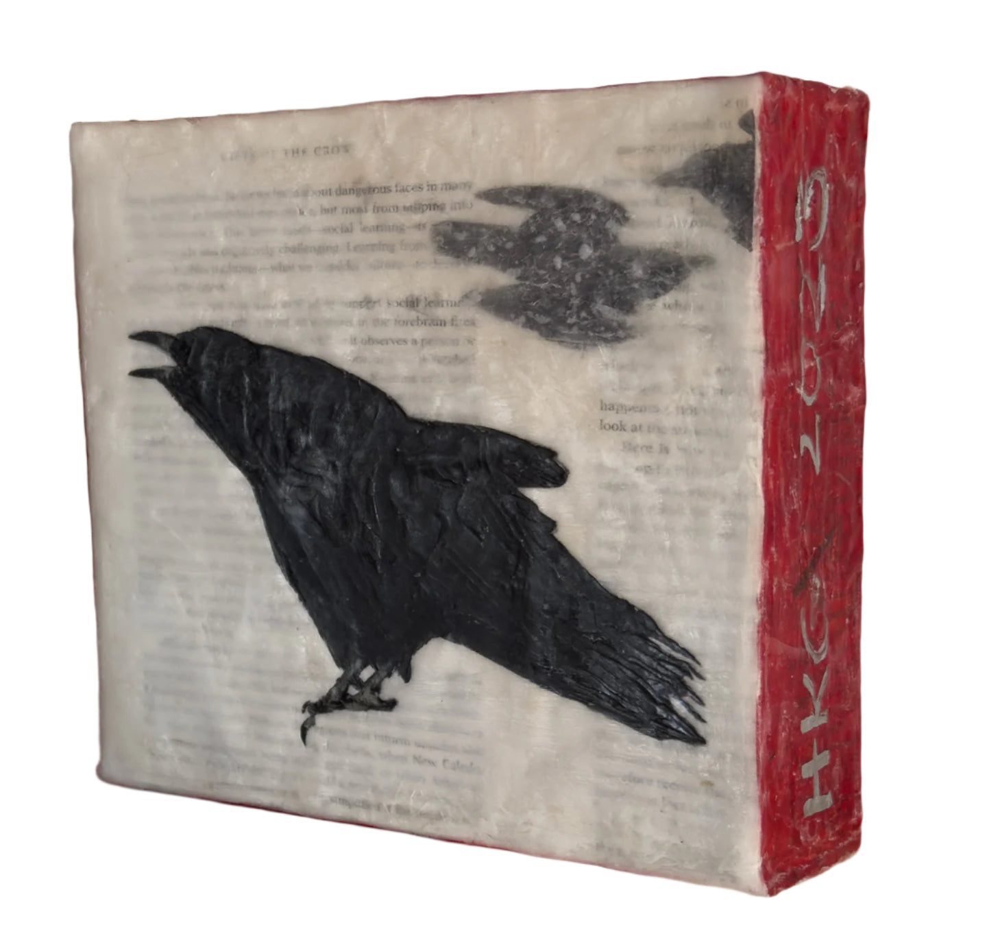 Black Raven Magic Box - Small