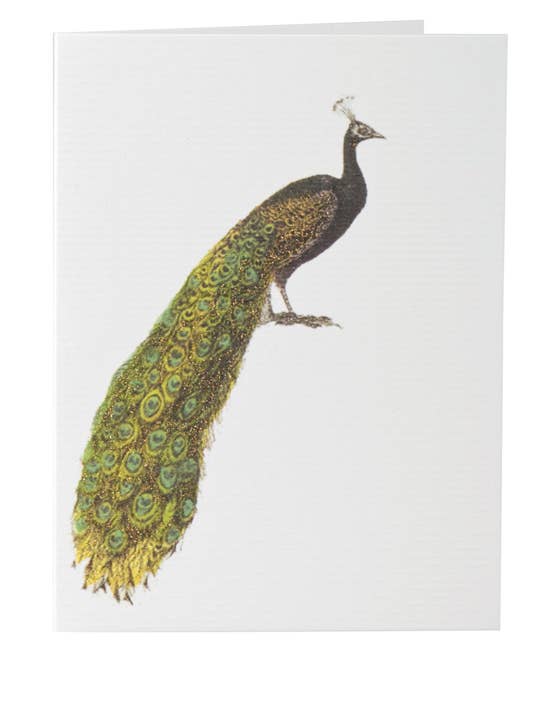 Peacock Greeting Card