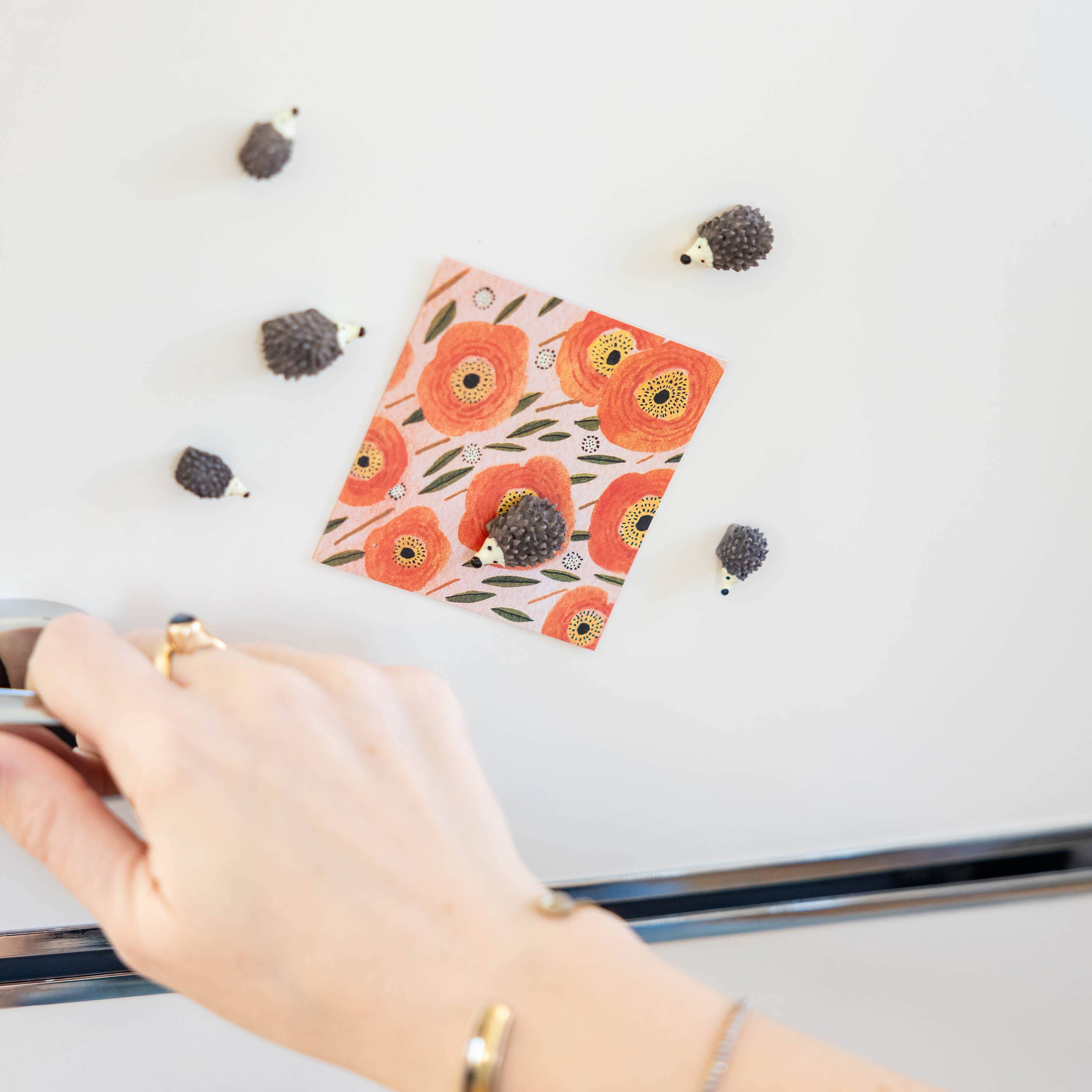 Colorful hedgehog magnets