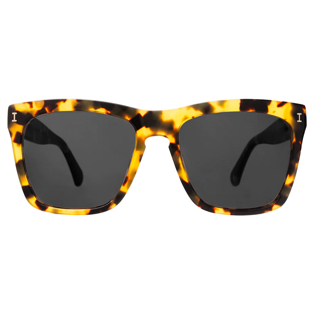 Los Feliz tortoise