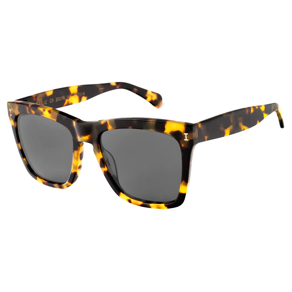 Los Feliz tortoise