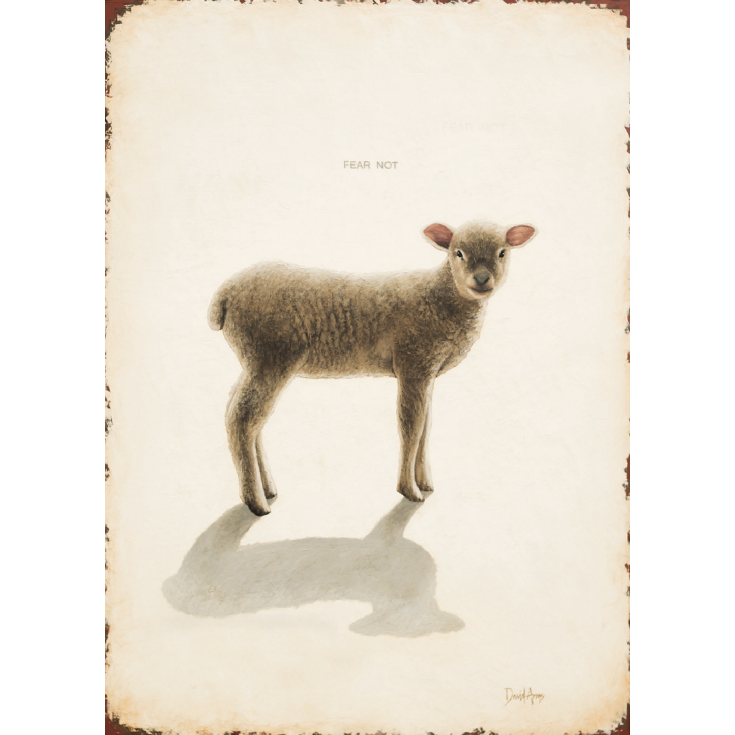 Fear Not (lamb)