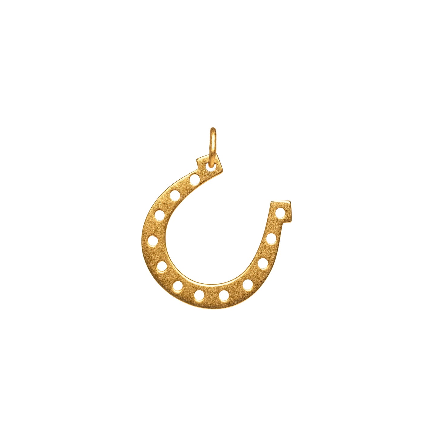 Large Horseshoe Charm