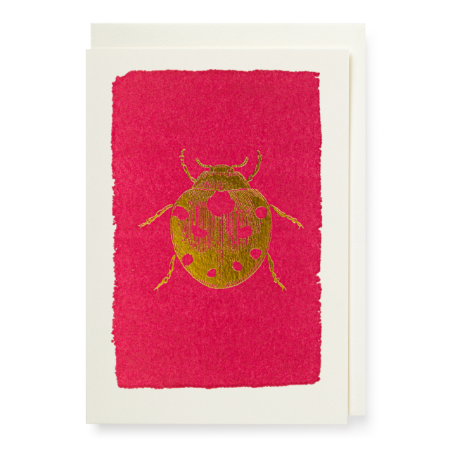 Ladybird