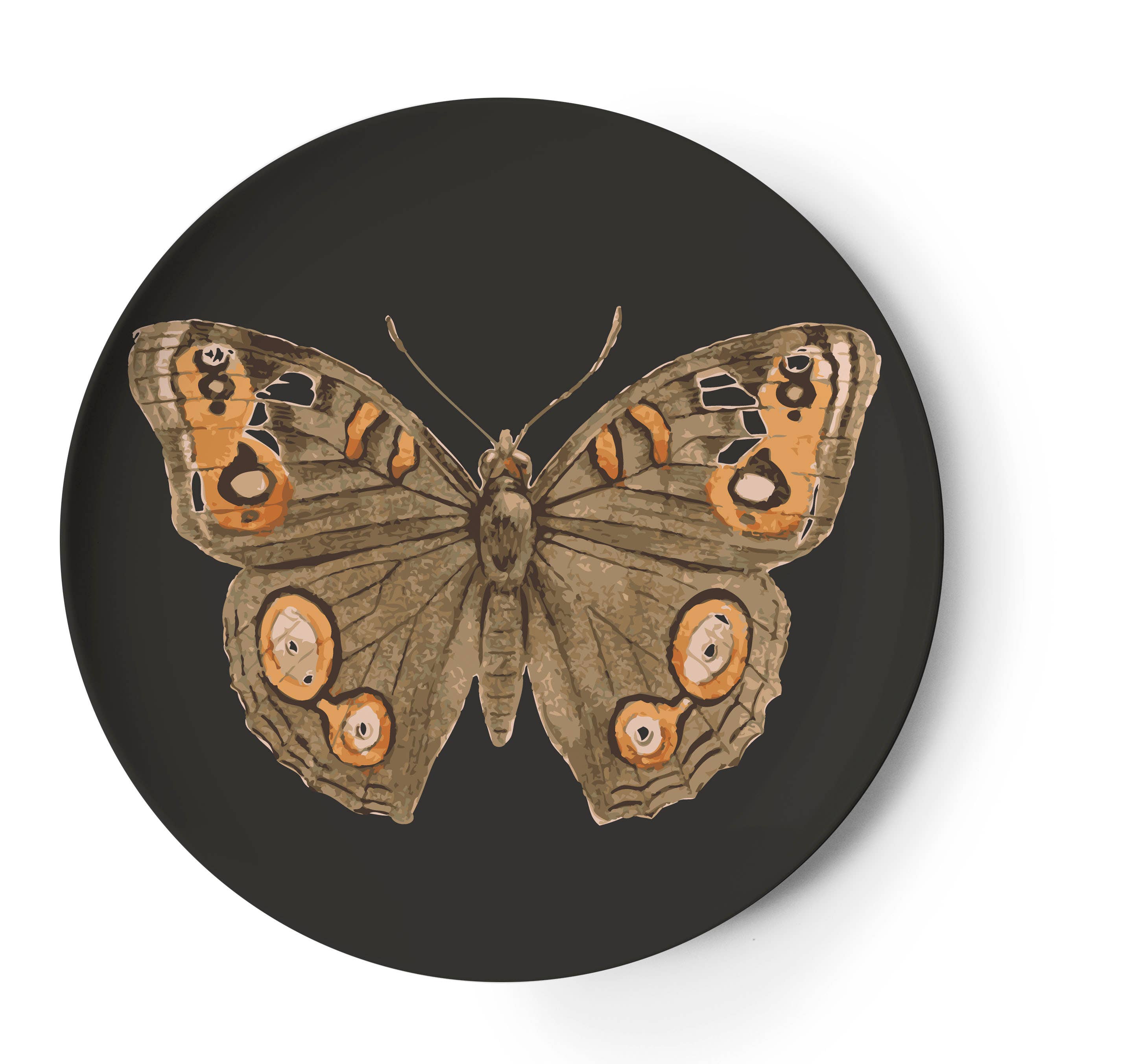 Metamorphosis Coasters Set of 4