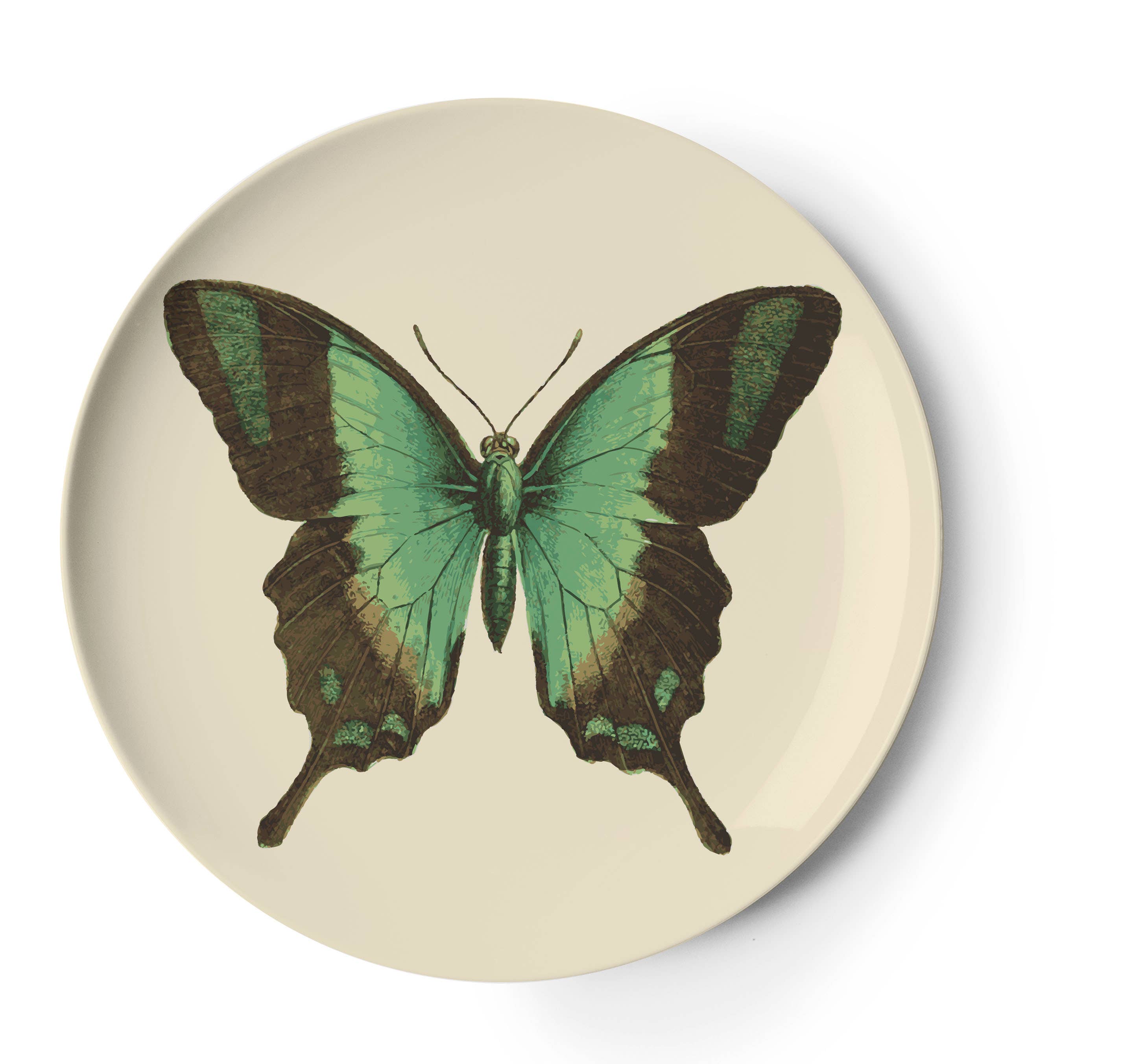 Metamorphosis Coasters Set of 4