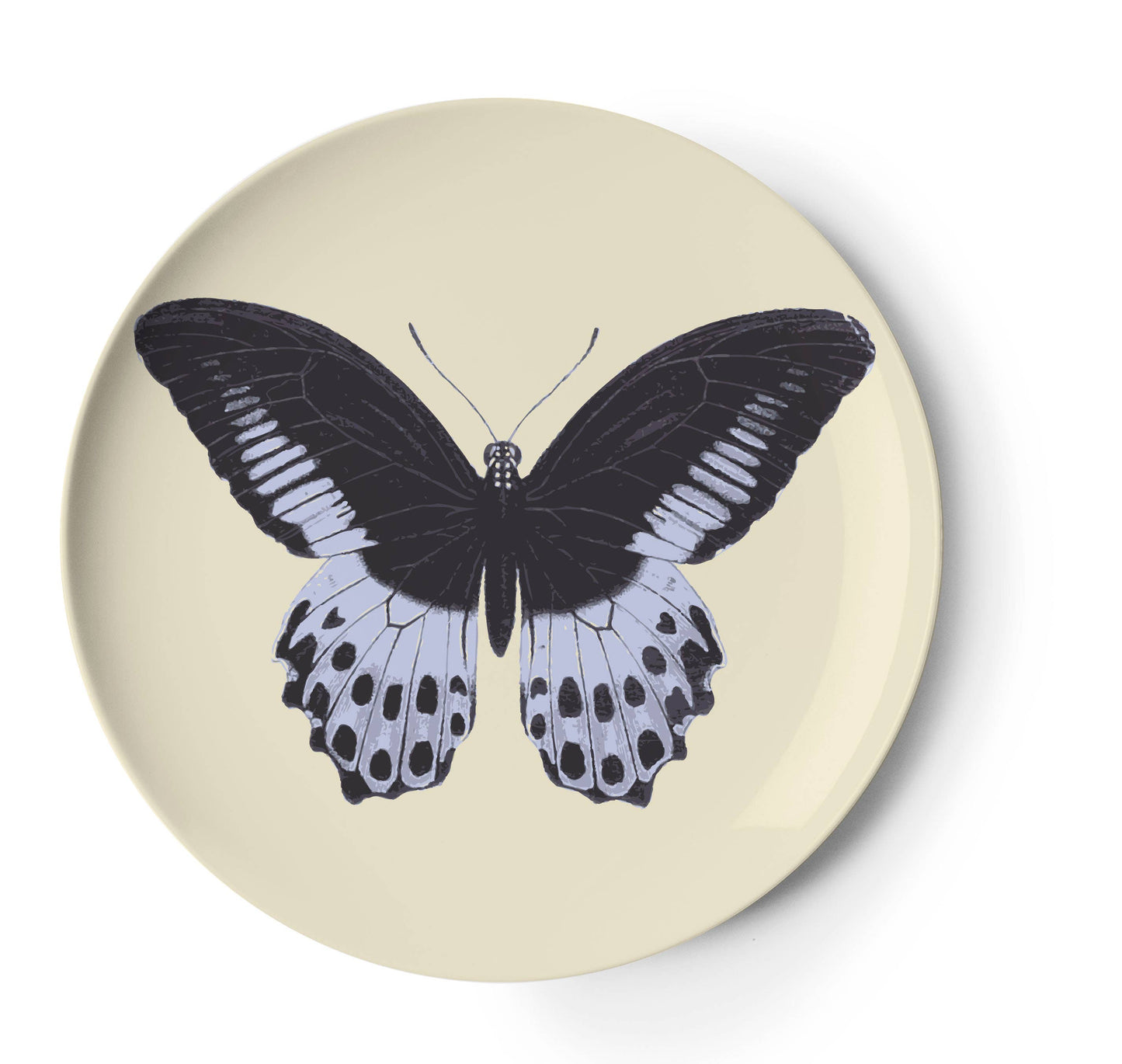 Metamorphosis Coasters Set of 4