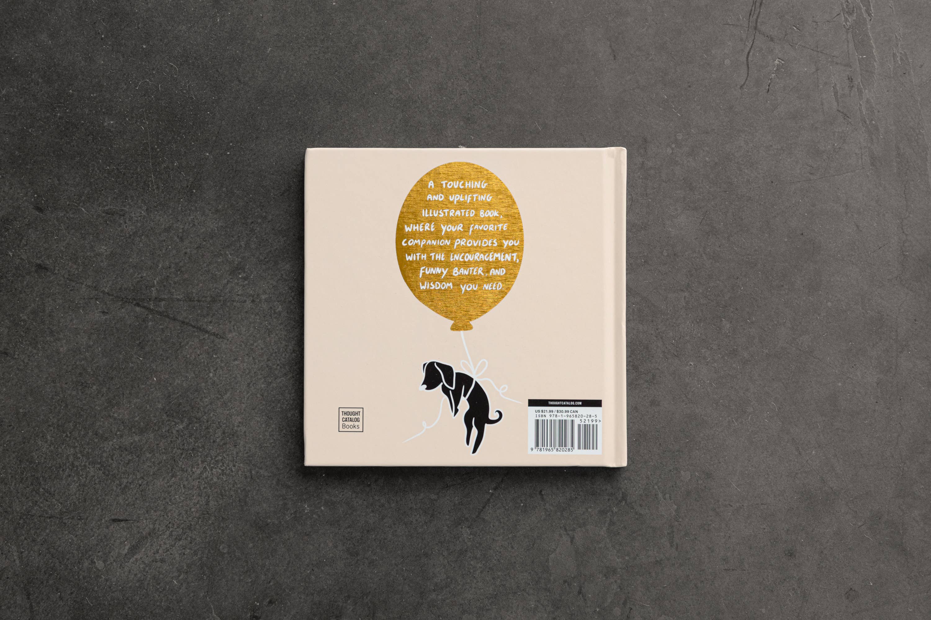 Conversations With My Dog (illustrated book)