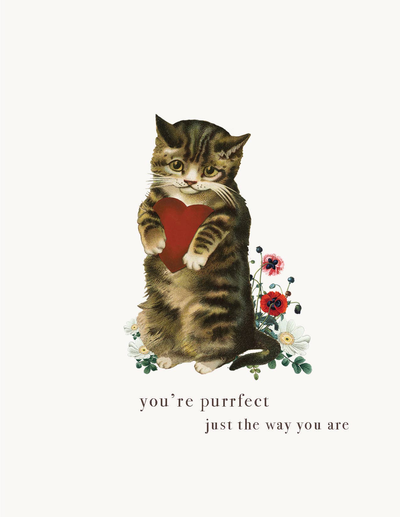 You're purrfect,j ust the way you are  A2 greeting card