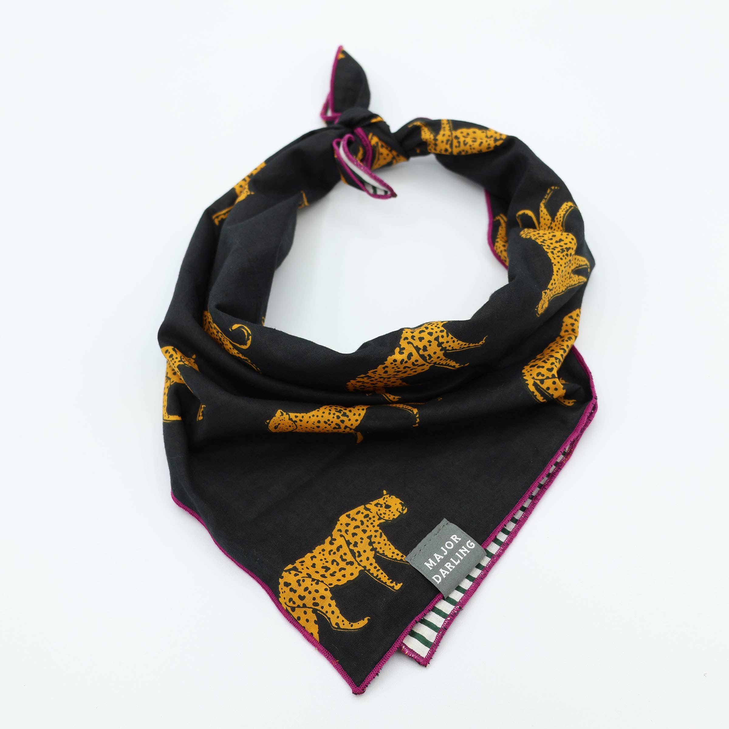 Double Sided Dog Bandana: Floral Vines