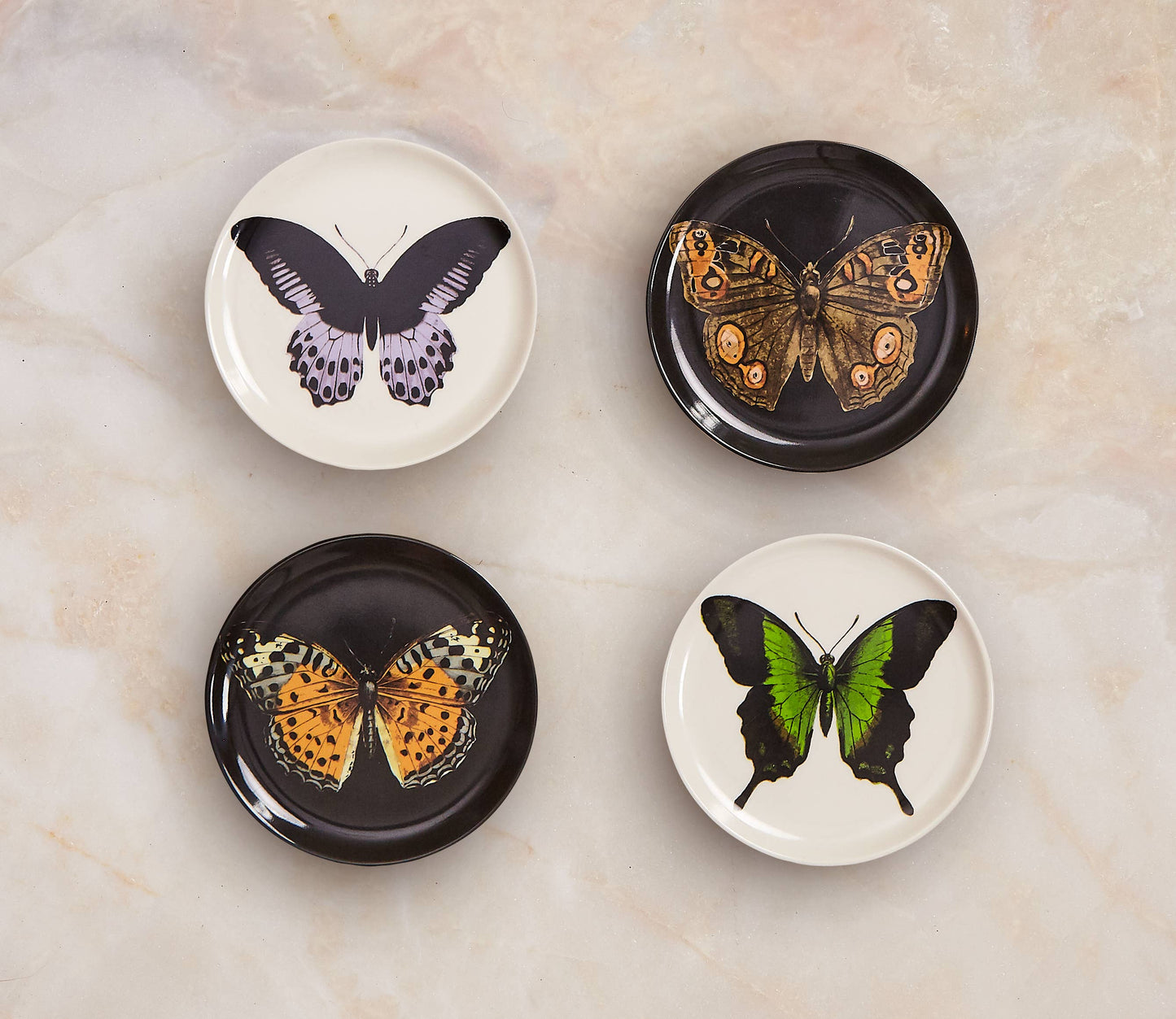 Metamorphosis Coasters Set of 4