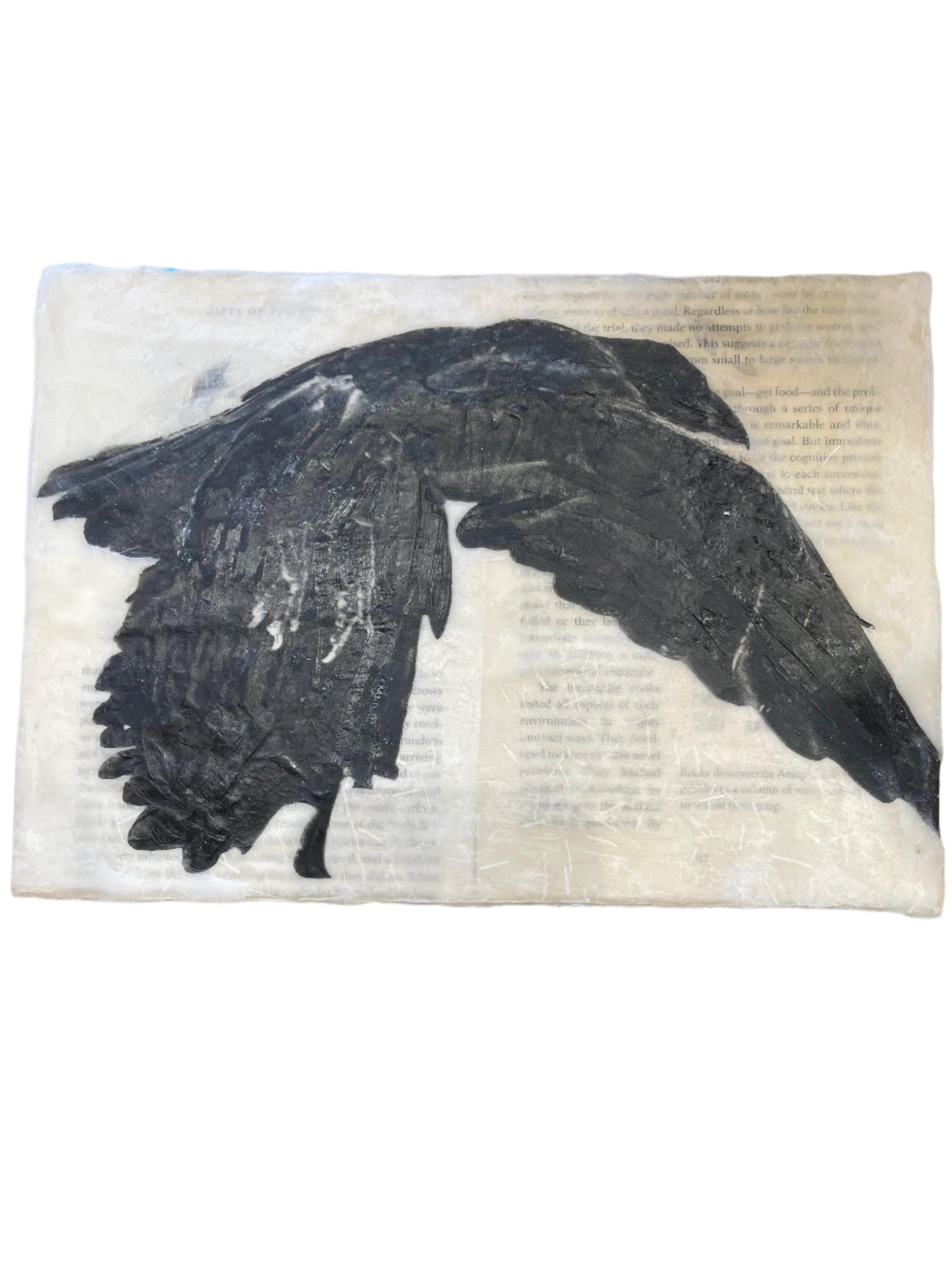 Gifts of the Raven