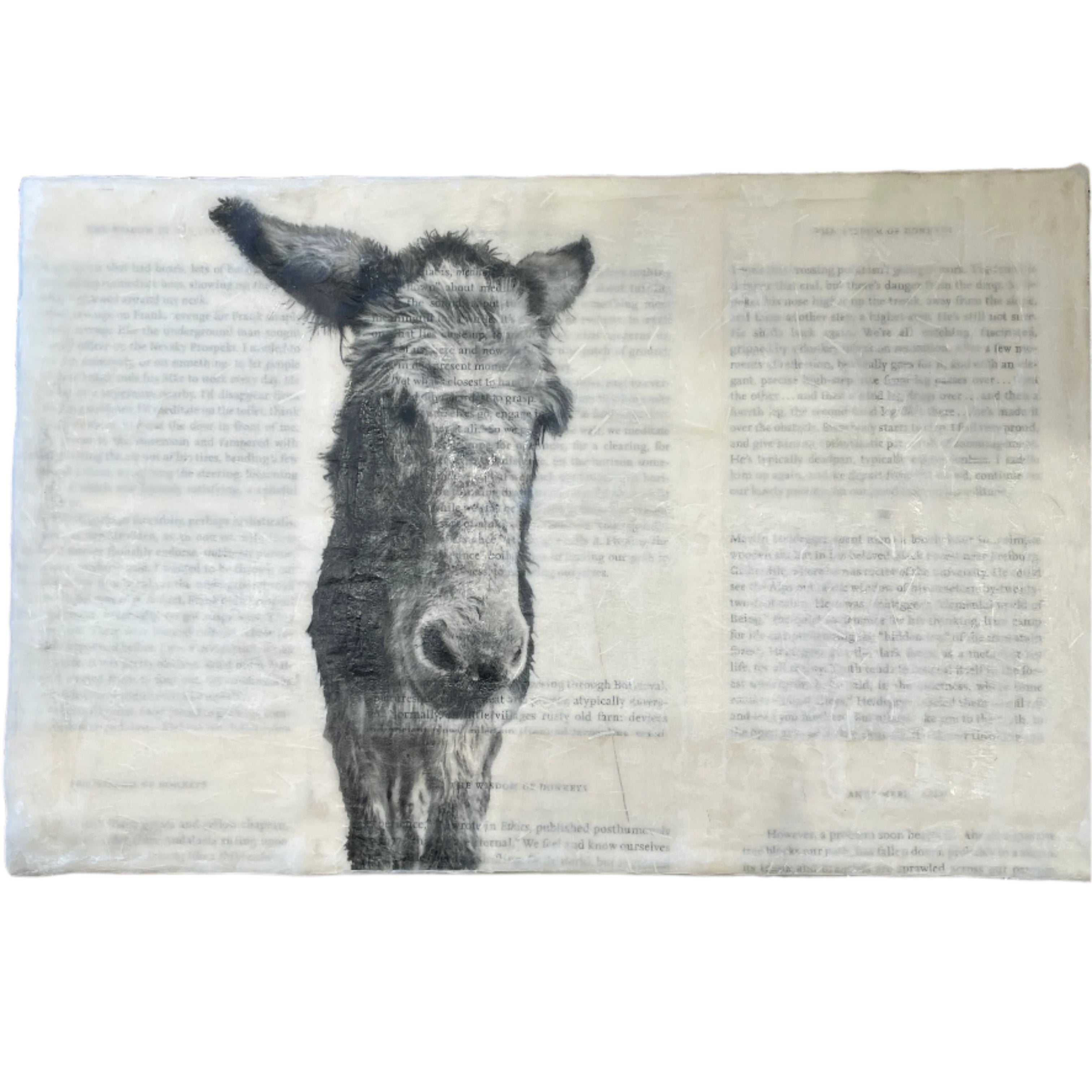 Wisdom of the Donkey