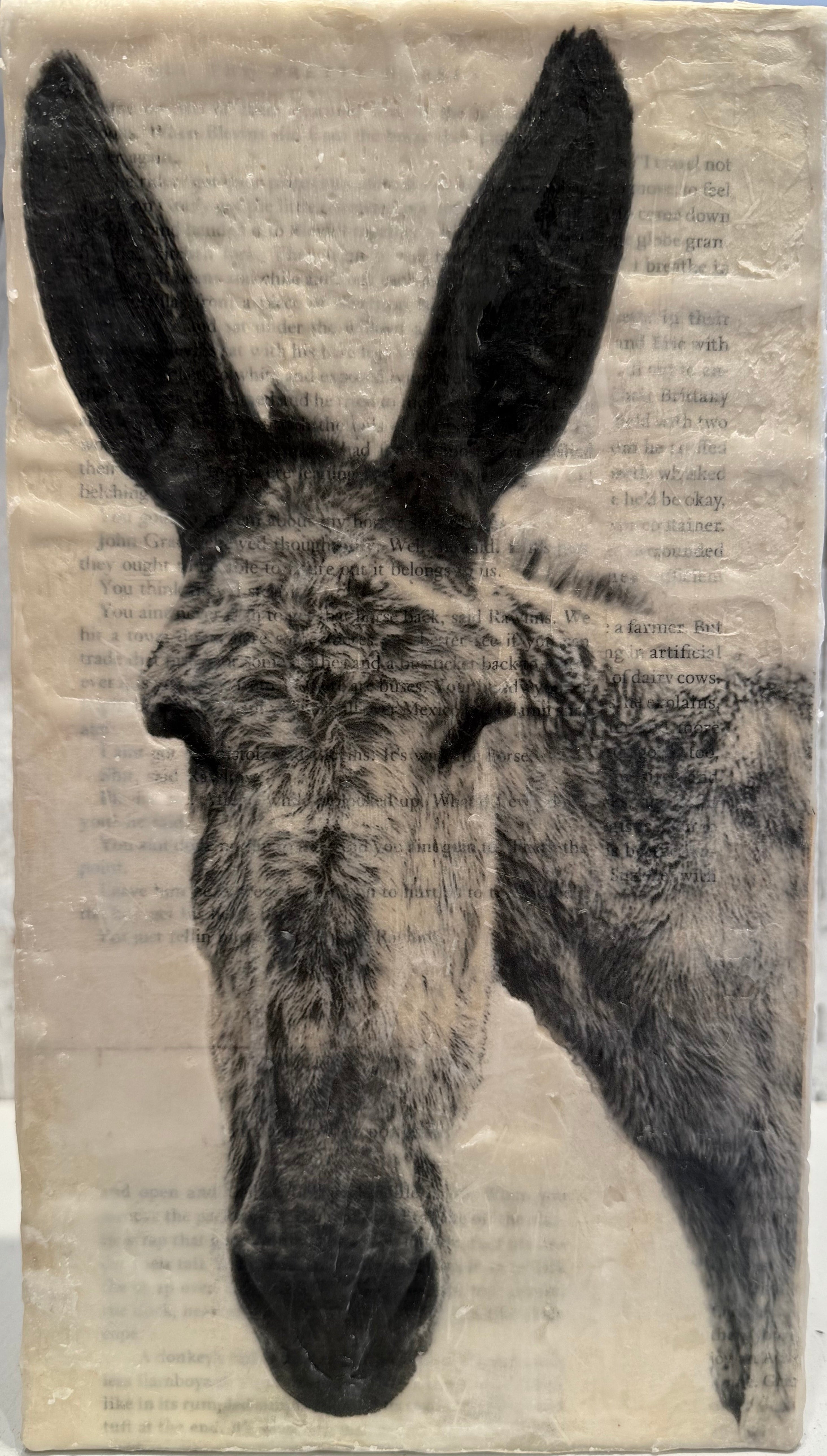 Pearl the Mule