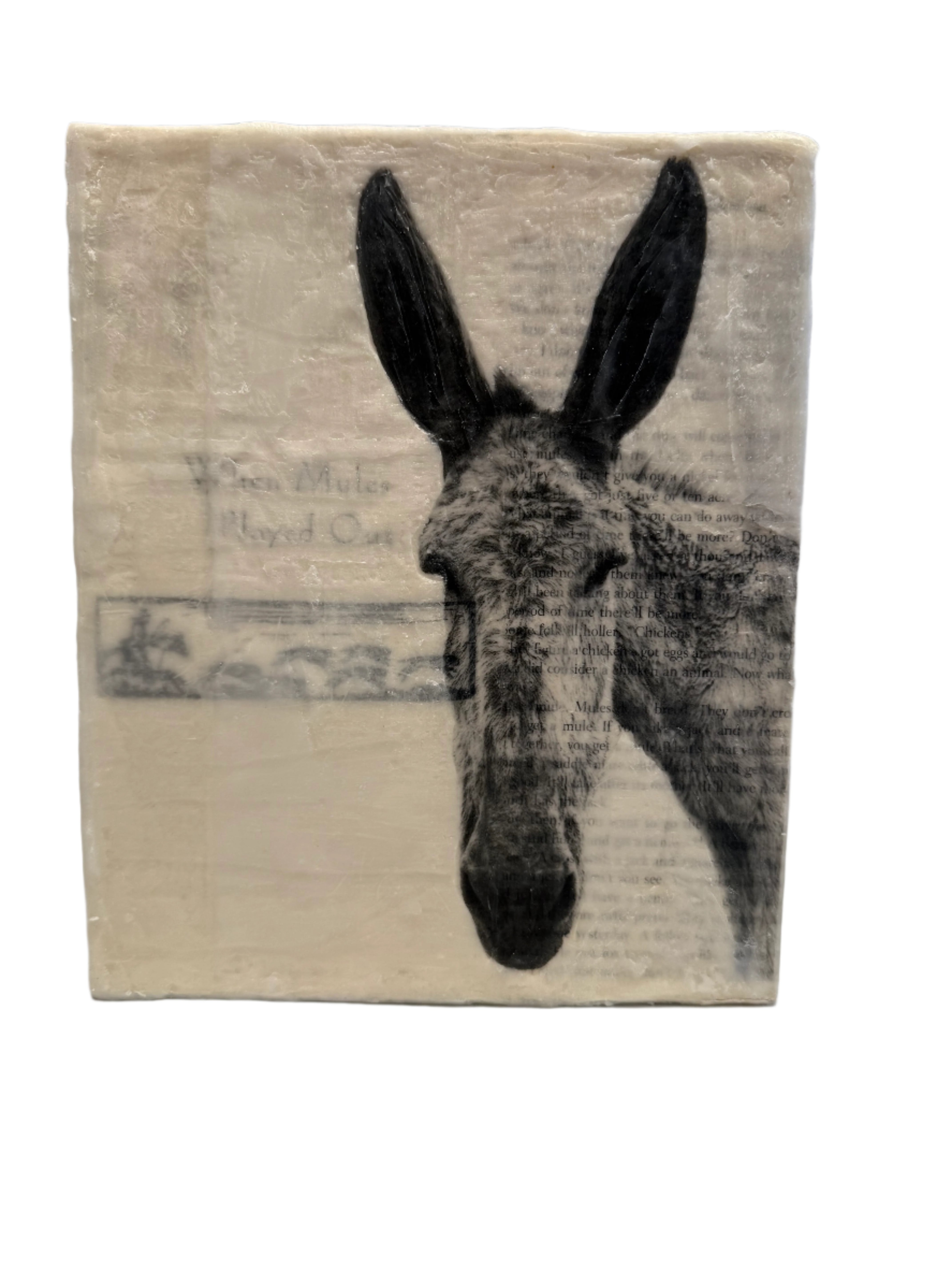 When the Mules Played Out