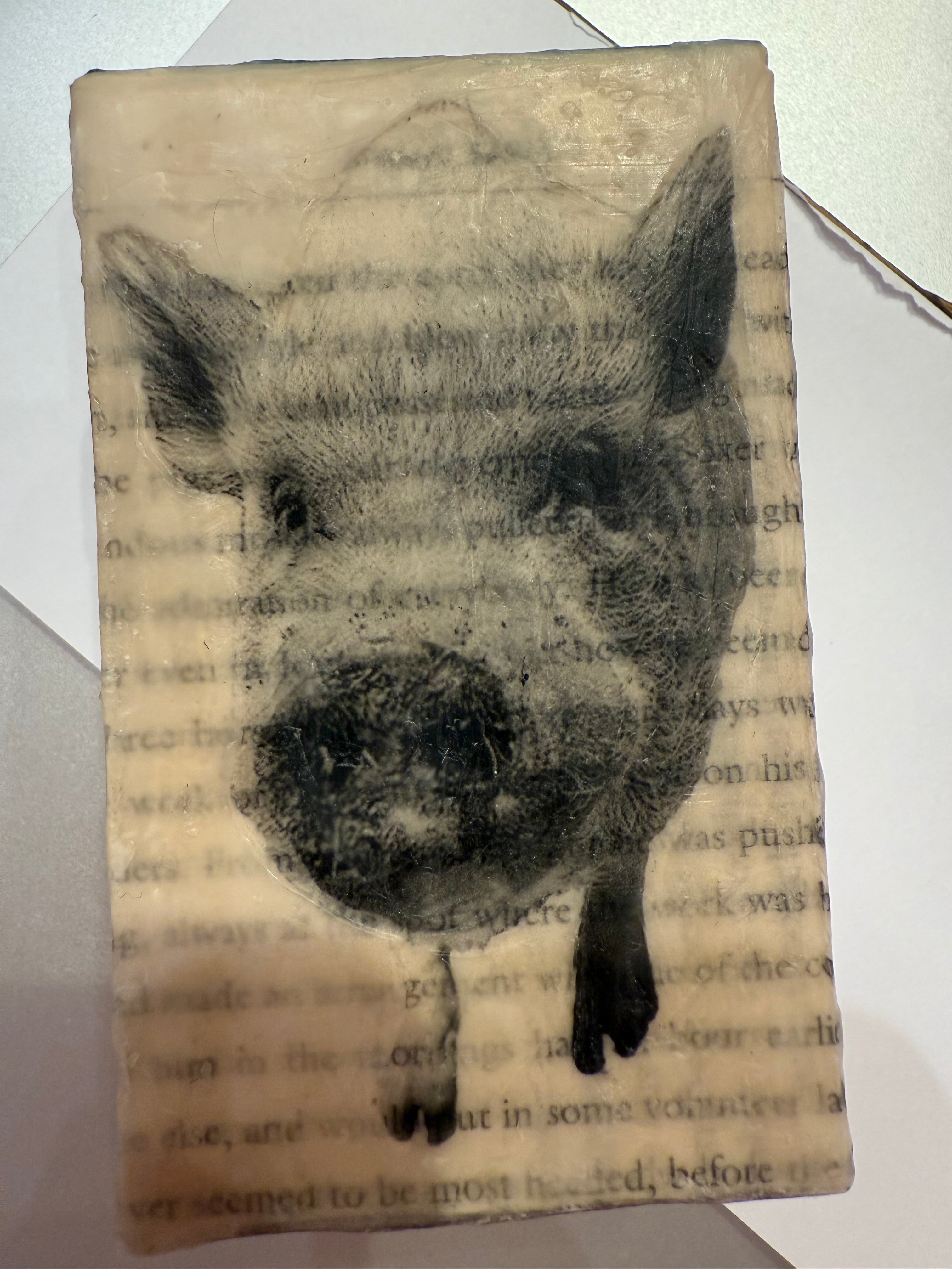 Eleanor Pigby