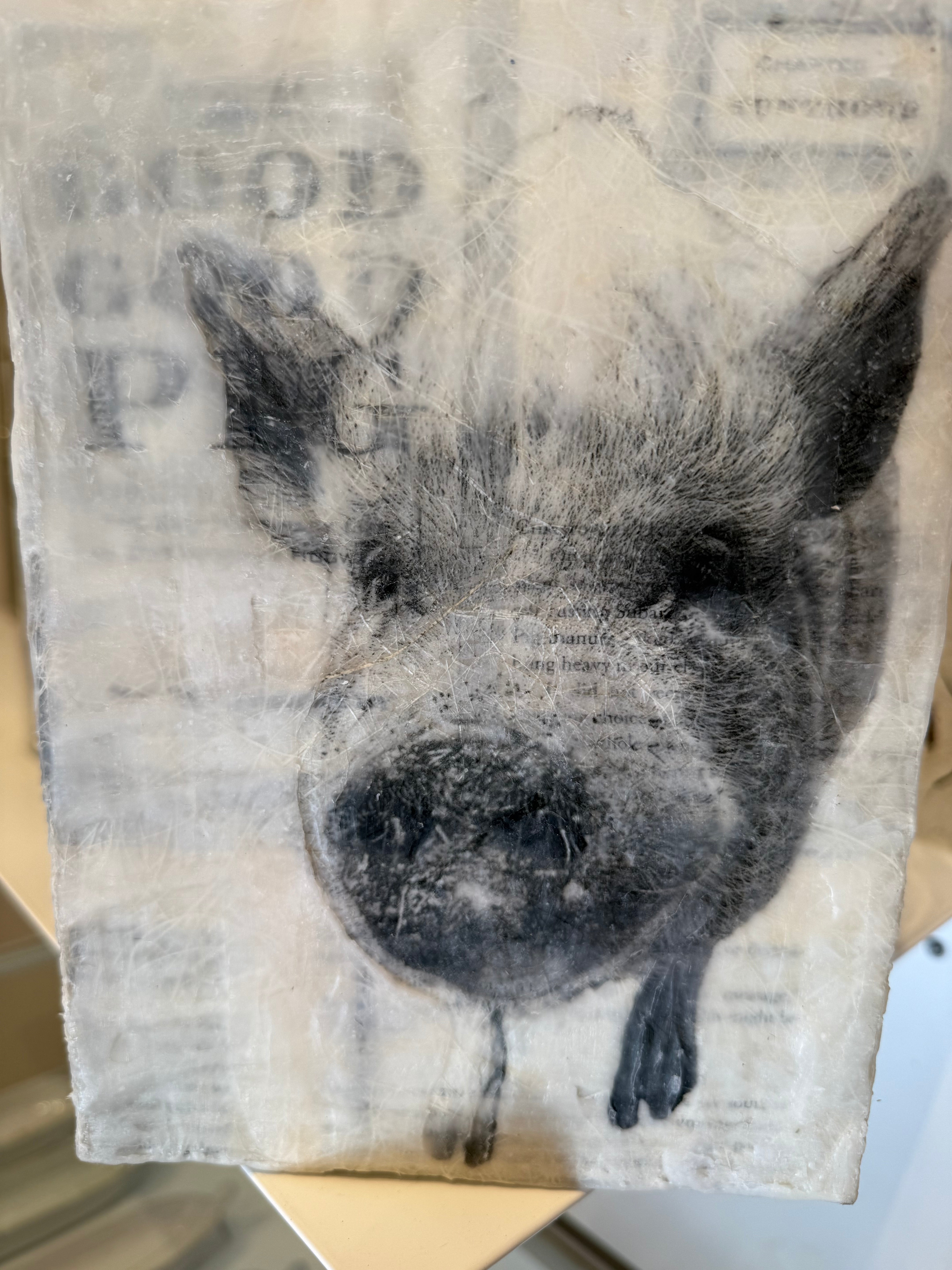 Good, Good Pig- Medium Eleanor