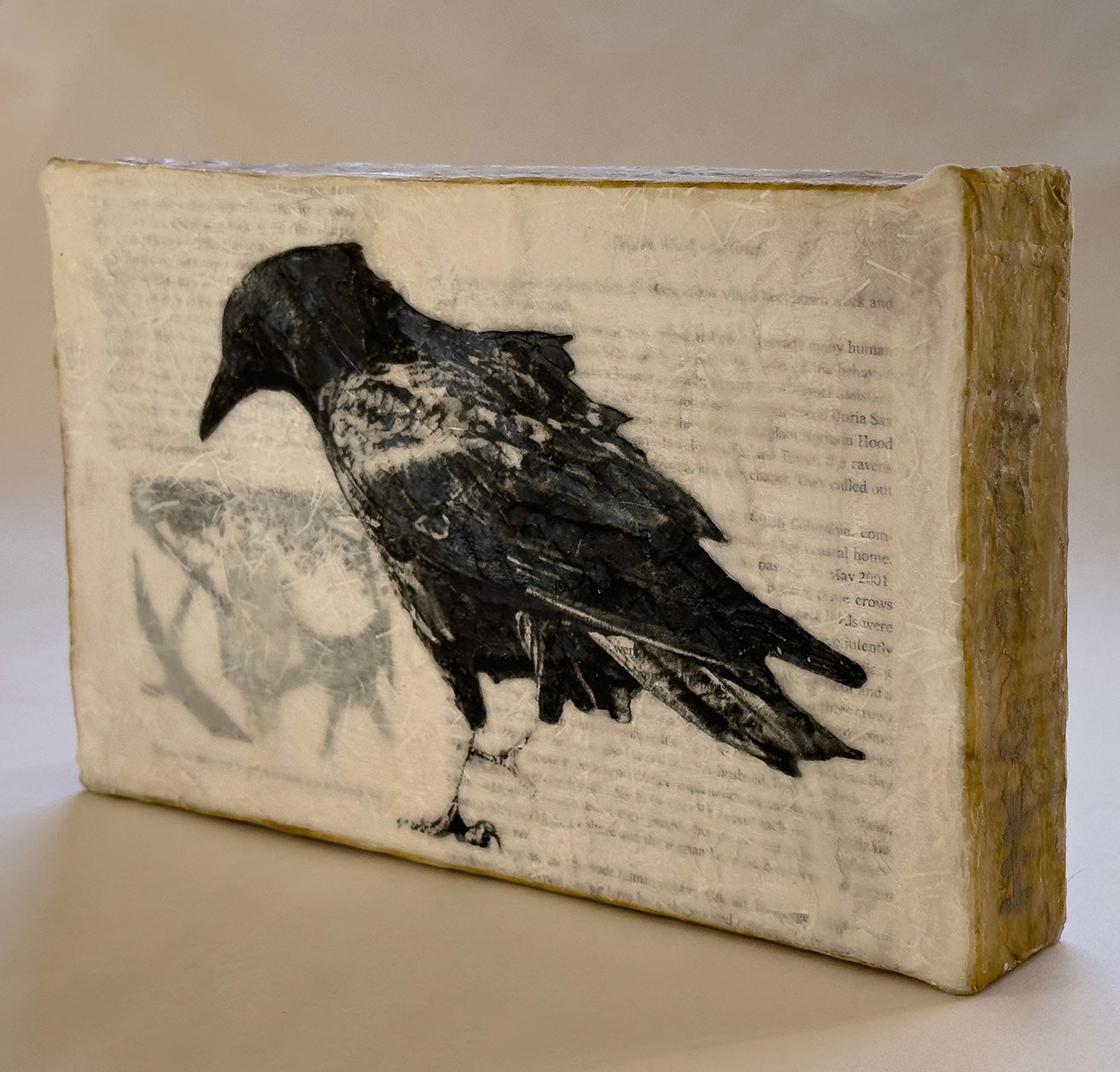 " Baby Raven " - Magic Box