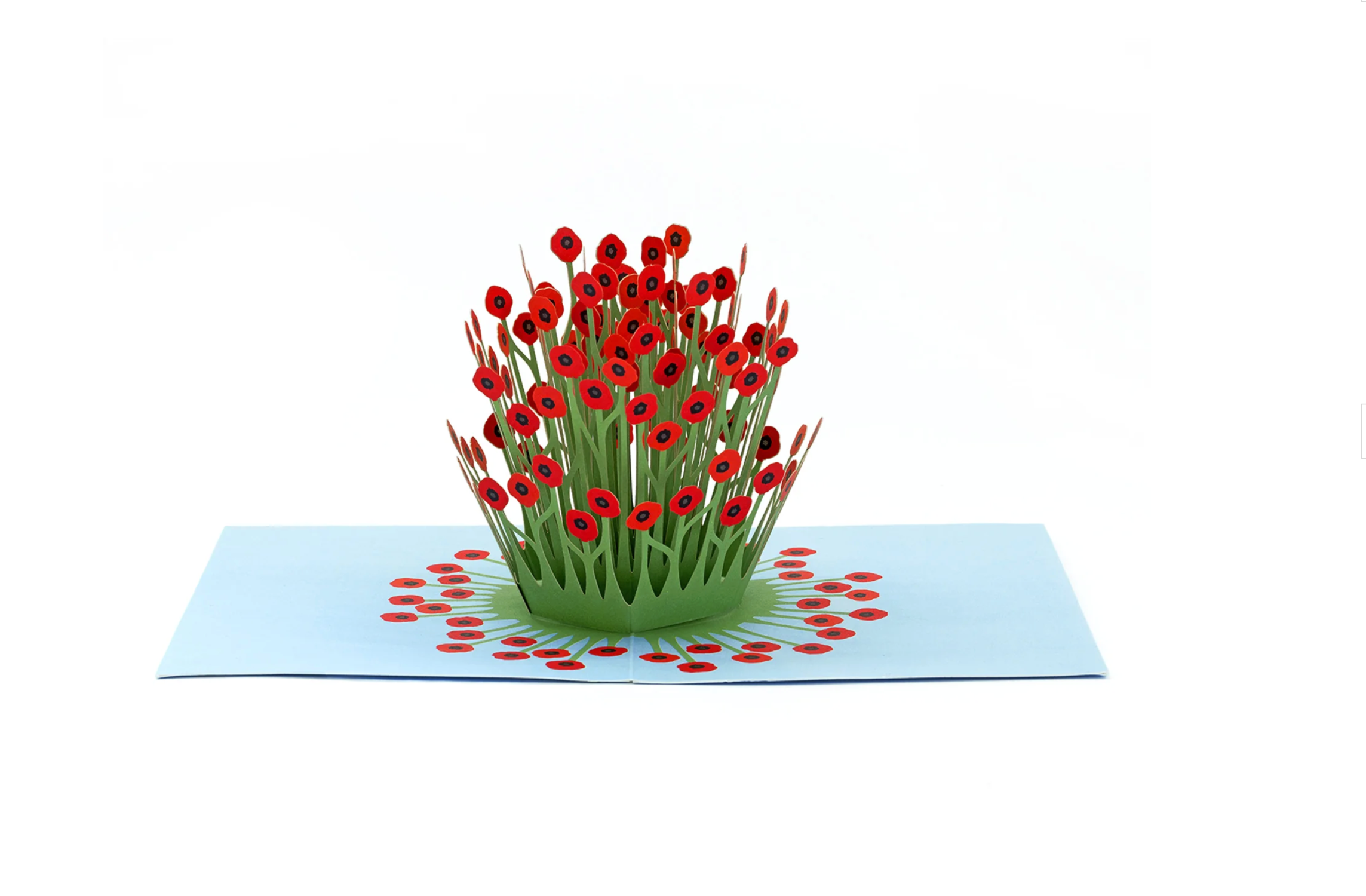 Poppies Pop Up Card