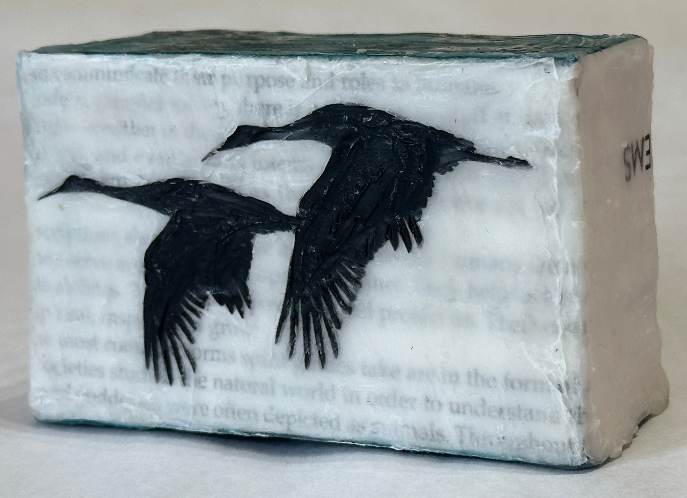 Sandhill Cranes- Tiny Magic Box