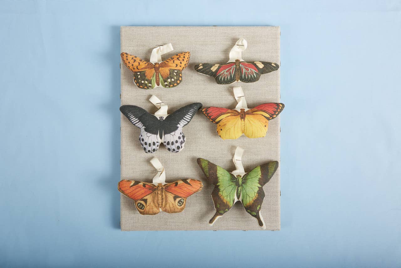 Metamorphosis Ornaments Set/6