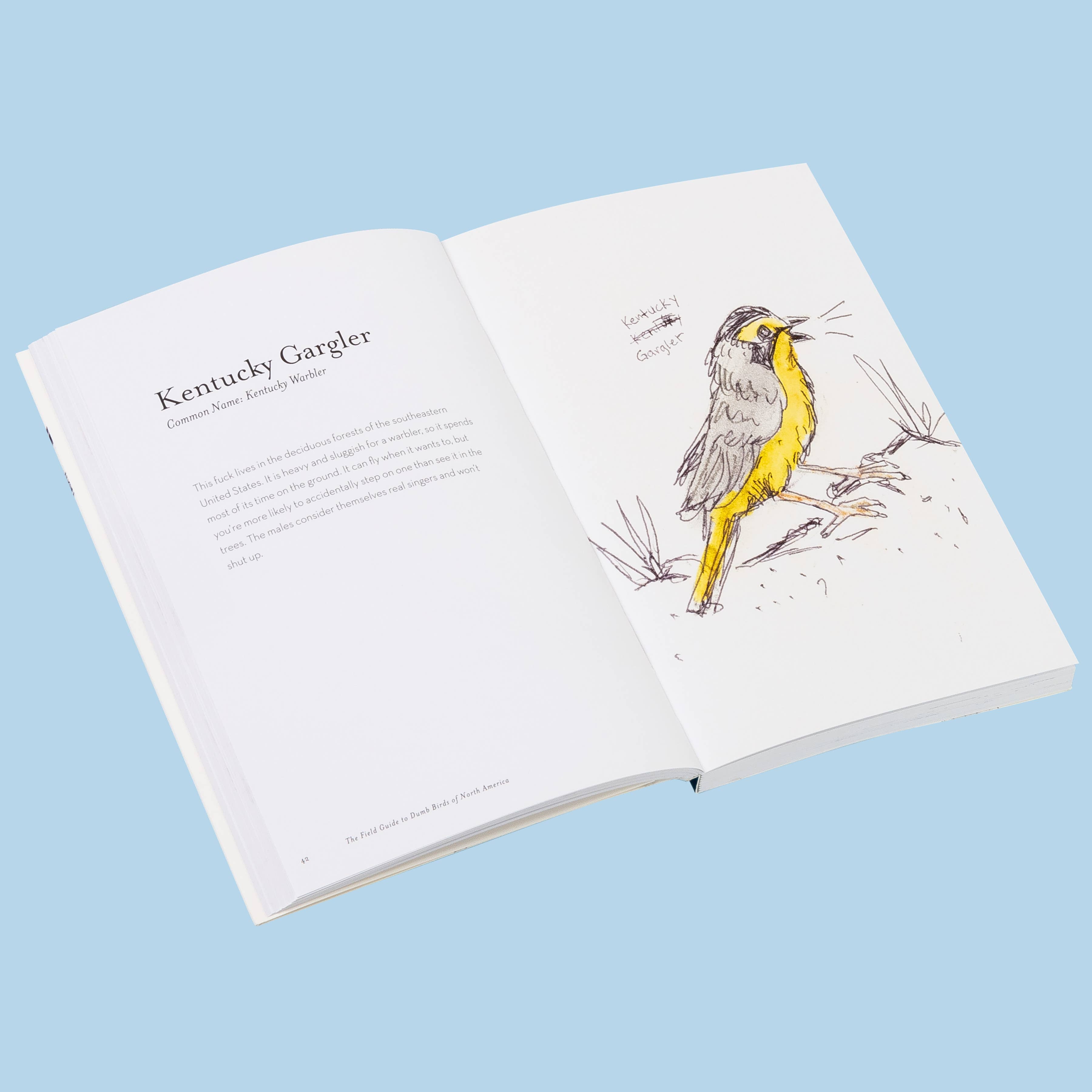 The Field Guide to Dumb Birds of North America