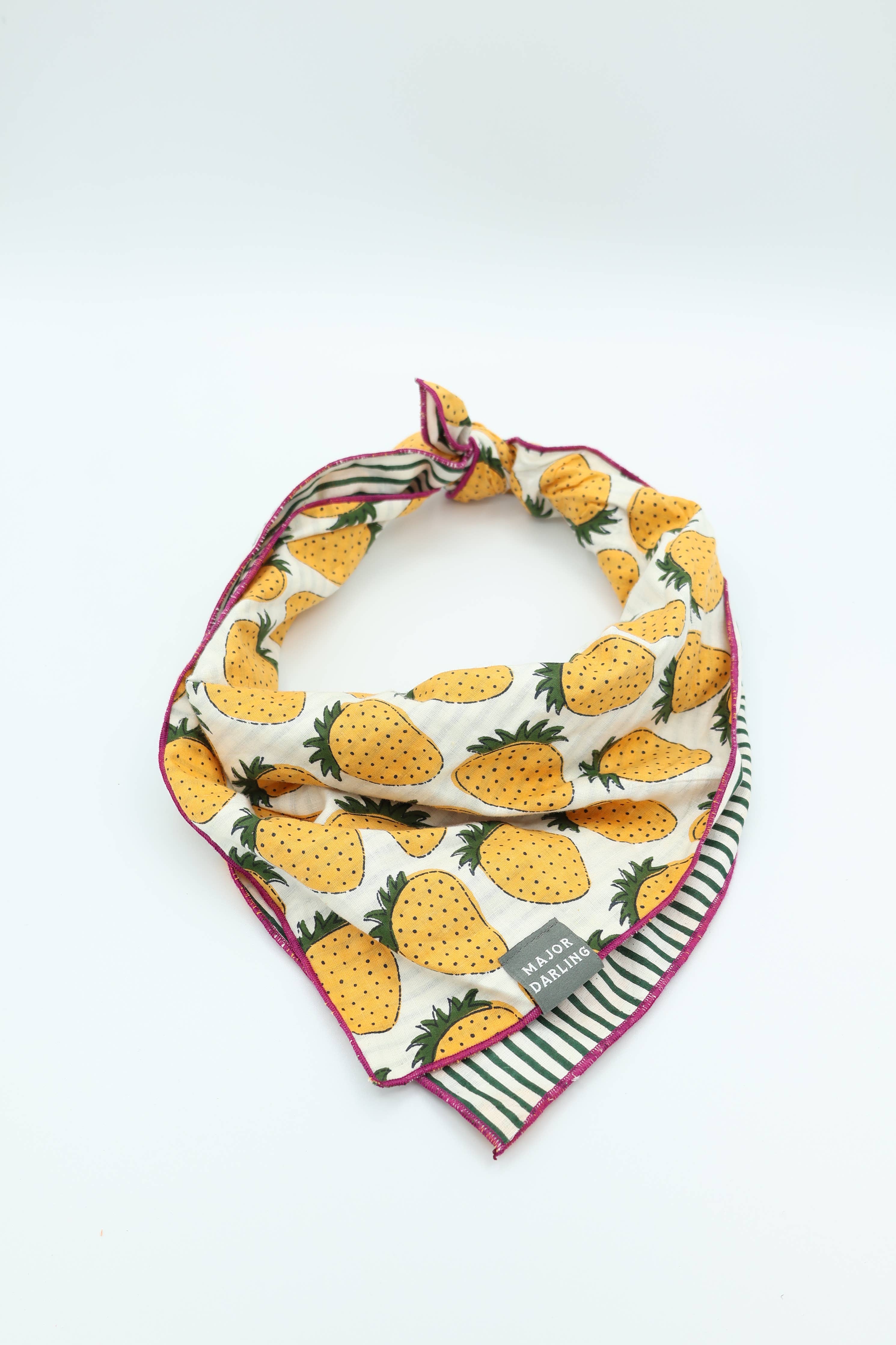 Double Sided Dog Bandana: Floral Vines