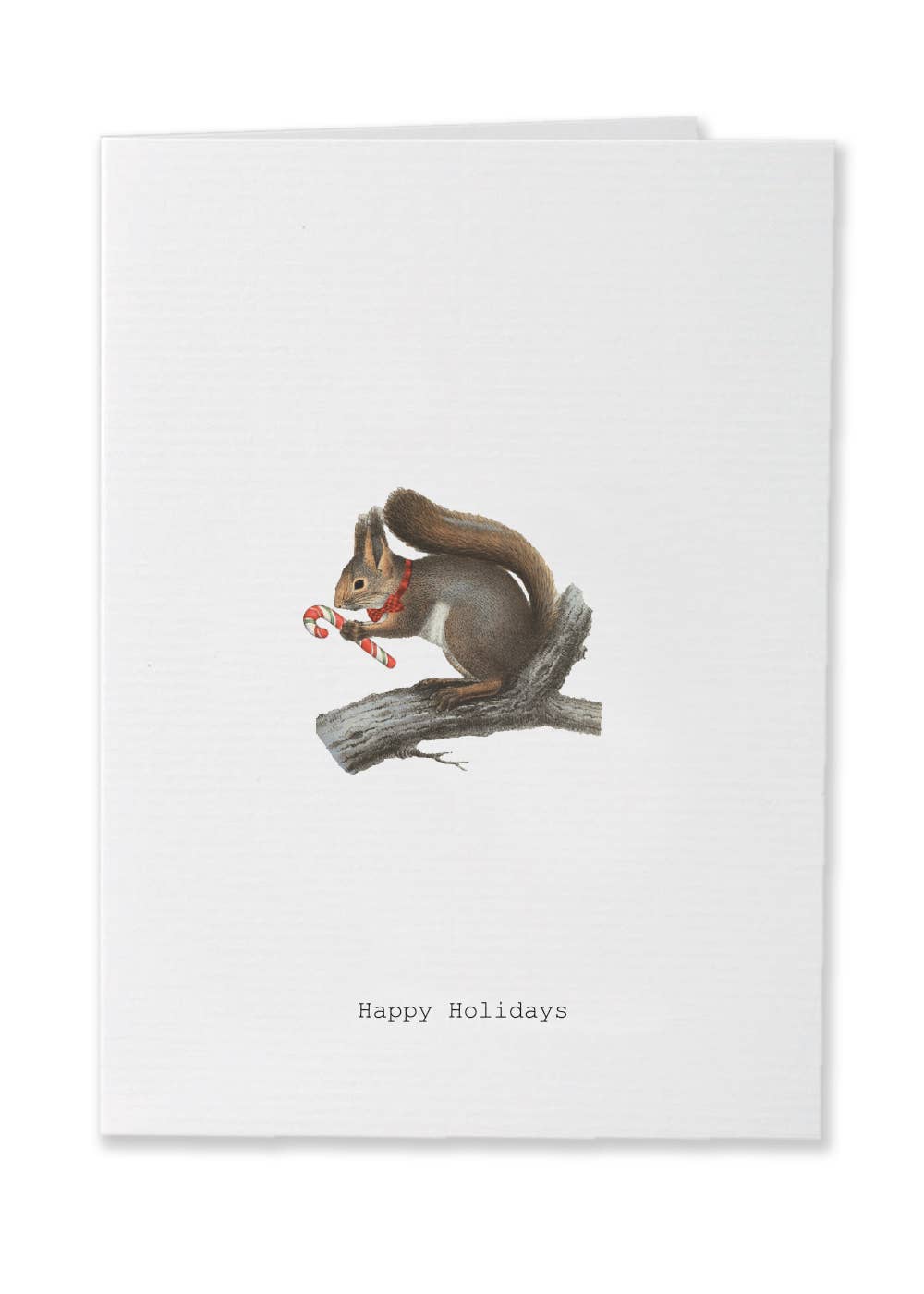 HAPPY HOLIDAYS SQUIRREL GREETING CARD