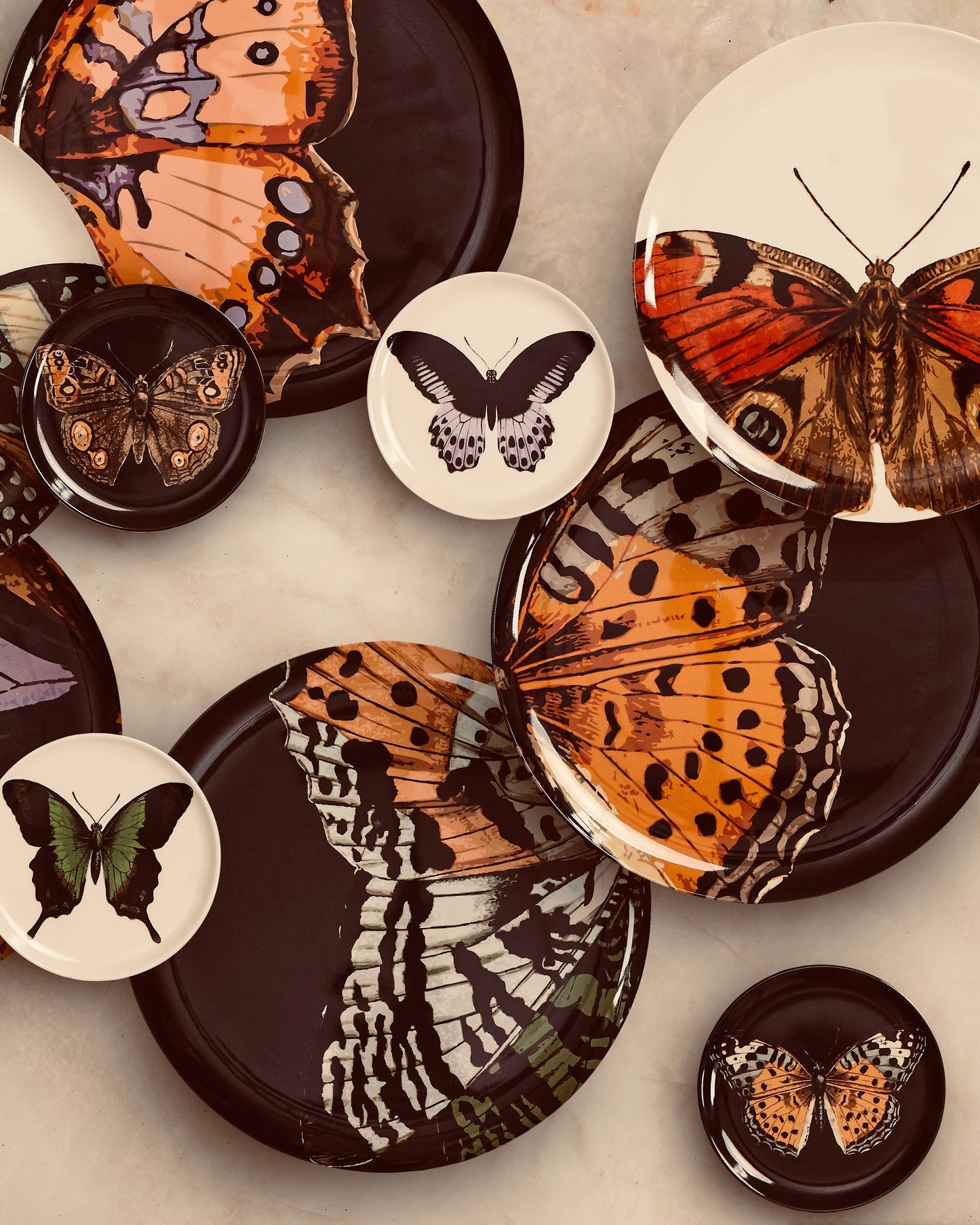 Metamorphosis Coasters Set of 4