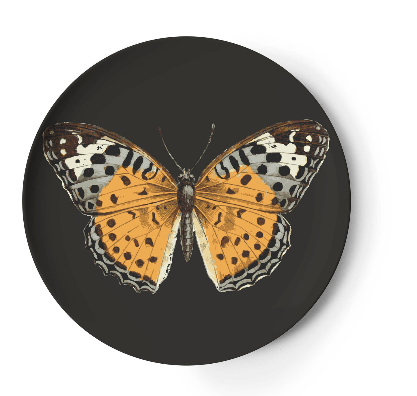 Metamorphosis Coasters Set of 4