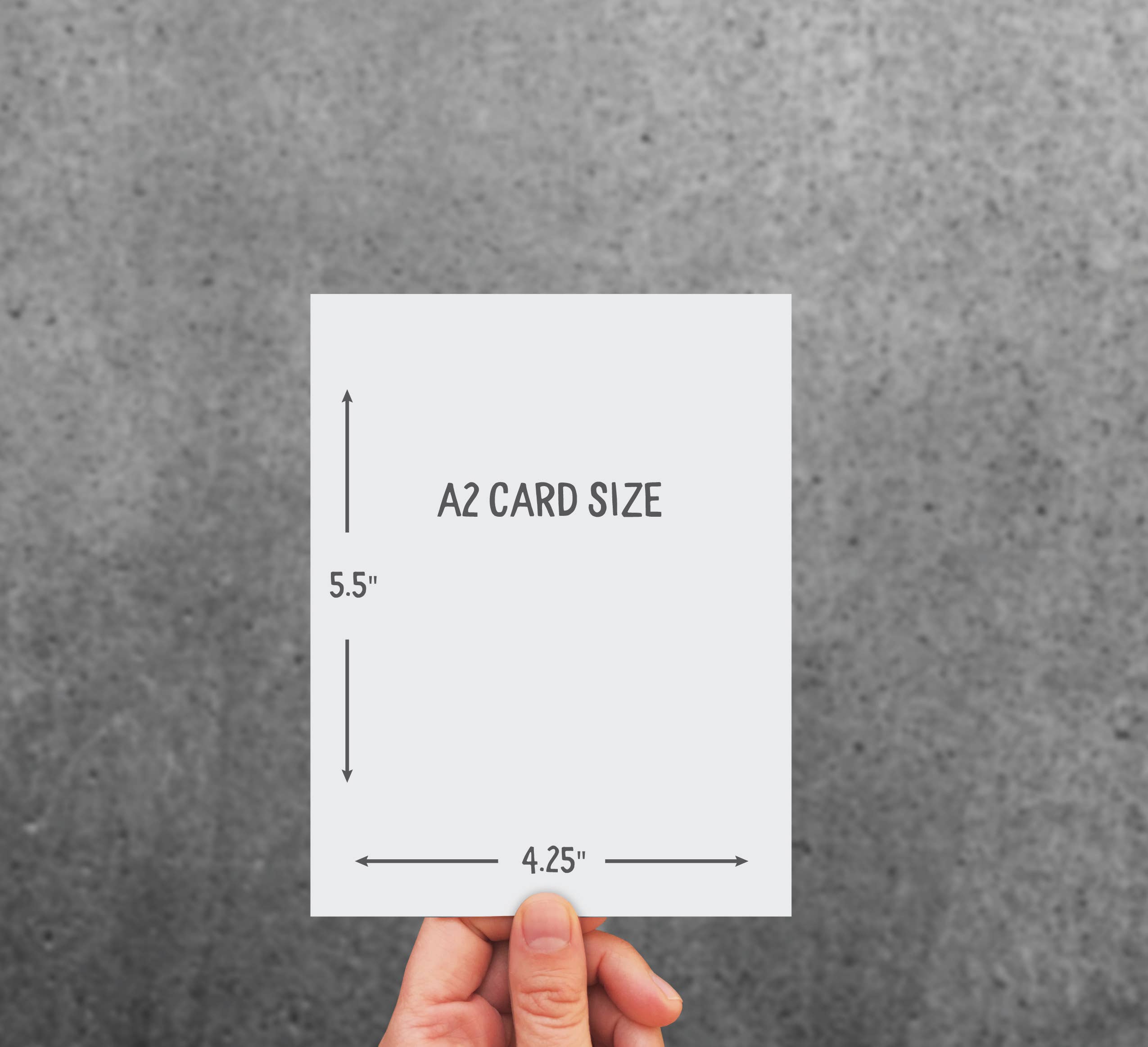 Have Each Other Squirrels Love Card