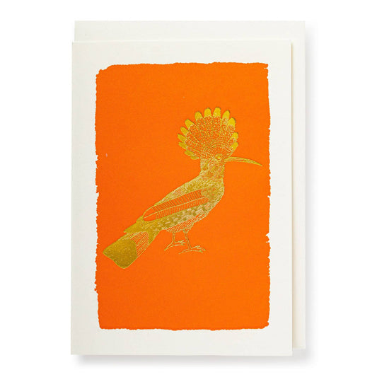 Orange Hoopoe Note Card