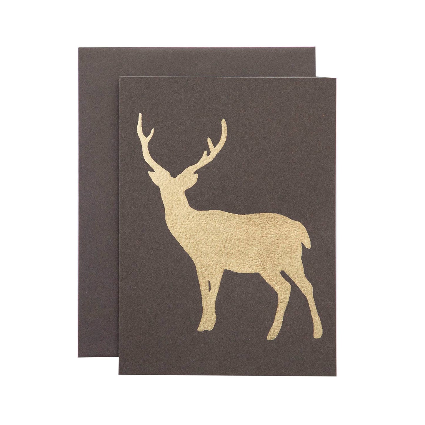 Brown Deer Card